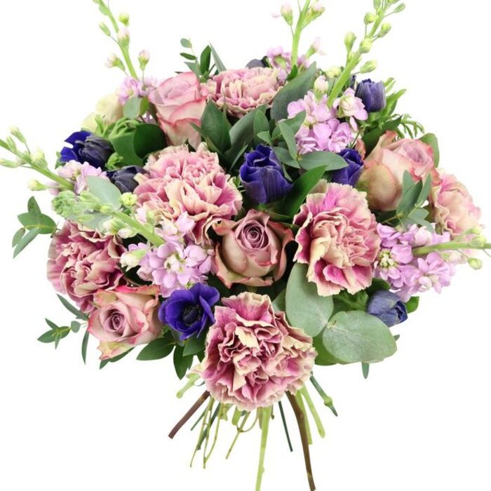 This photograph presents a lush, hand-tied bouquet against a clean white background, its colours standing out with the same clarity you might notice when passing a Poplar flower stall under bright morning skies. At the heart of the arrangement, large garden roses in blush pink, dusty mauve, and antique rose tones open in tightly layered spirals, their velvety petals full and rounded, conveying a sense of timeless romance. Interspersed generously are frilled carnations whose many layered petals give the bouquet volume and softness; the blooms start with creamy, pale pink centres and gradually deepen to richer rose, fuchsia, and plum along their ruffled edges, adding lively texture. Cutting through these warm tones, deep indigo-blue buds-shaped much like small tulips or compact anemones-offer pockets of intense colour. Near the lower front, a striking open royal blue anemone with a dark, nearly black centre catches the eye, creating a dramatic focal point amid the softer shades. Delicate stems of pale lilac and lavender stock thread upward through the bouquet, adorned with clusters of tiny blossoms that lend lightness, vertical interest, and a suggestion of gentle fragrance, like a hint of spring air drifting across Poplar High Street. Surrounding the flowers is a generous halo of greenery: dark, polished rose leaves provide structure, while rounded, silvery-green eucalyptus leaves contribute cool contrast and evoke a clean, uplifting scent. The stems are gathered tightly and left visible at the base, emphasising the freshly cut, hand-tied nature of the design, ideal for swift delivery across Poplar and nearby Canary Wharf residences. The overall feel is elegant yet comforting, making this bouquet suitable for anniversaries, special birthdays, or sending quiet, heartfelt support.
